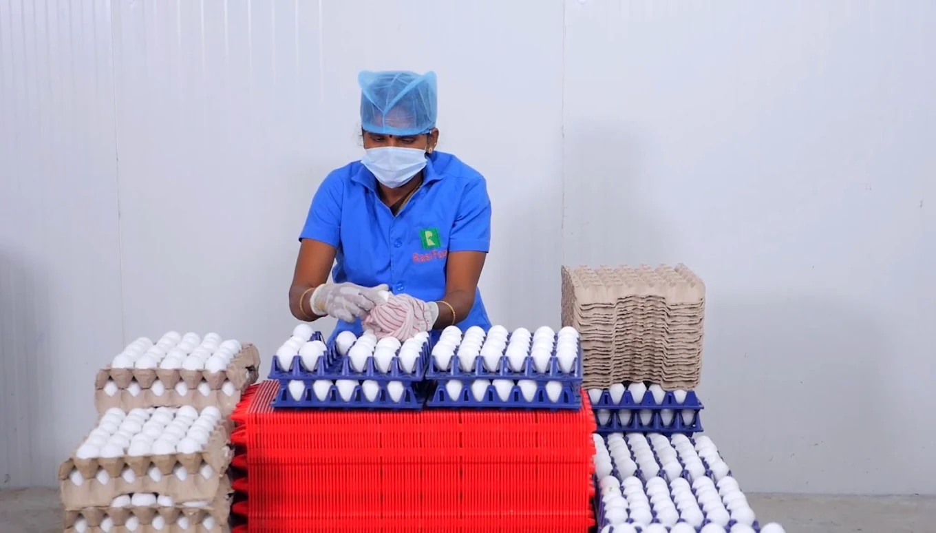 Rasi Foods Egg Exporter and Producer in Namakkal - Namakkal Ads